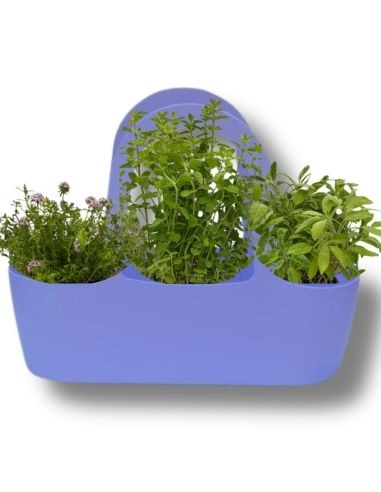 Aromi Bag già composta Santoreggia-Menta-Salvia