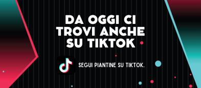 Piantine da orto anche su TikTok